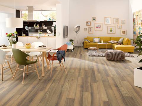 aranzacja dab alberta